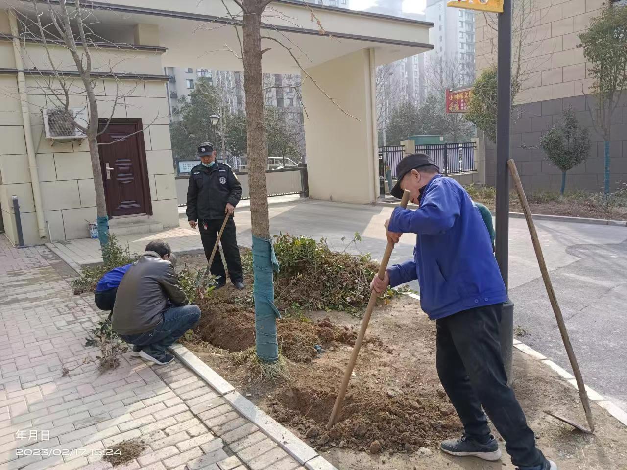 花季传媒网站物業----綠化服務